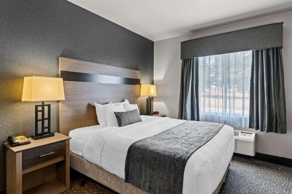 Best Western Sherwood Inn & Suites image 12